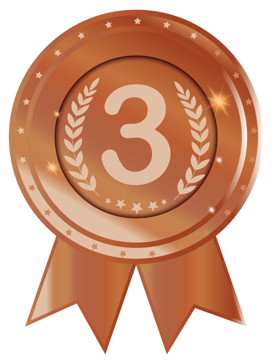 Medalha de Bronze