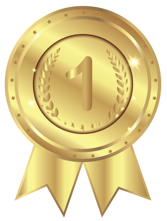 Medalha de Ouro
